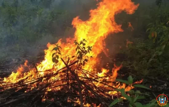 Выжигания сухой растительности запланированы в Железнодорожном районе Ростова