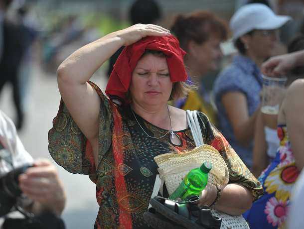 Жарой до 32 градусов побалует последний вторник лета жителей Ростова