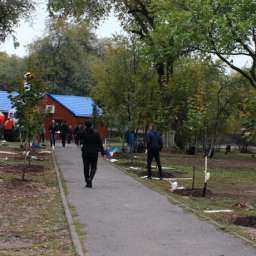Аллею учителей заложили педагоги и школьники в Ростове