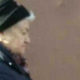 Паразитирующую в чужих дворах Старуху Шапокляк сфотографировали ростовчане