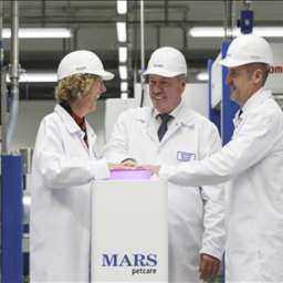 В Ростовской области открылся MARS, чтобы накормить ваших кошечек