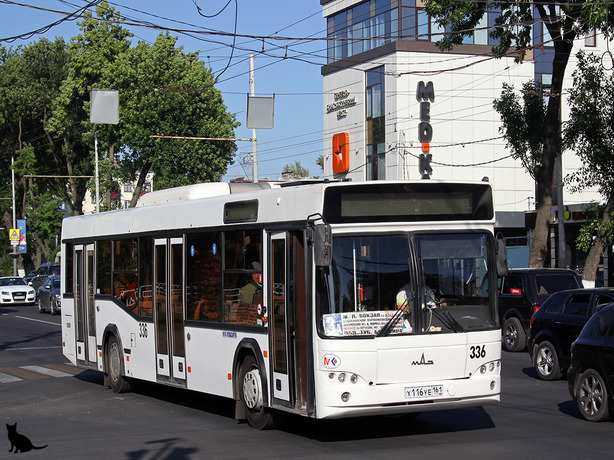 Куда денутся новые автобусы в Ростове после чемпионата мира по футболу