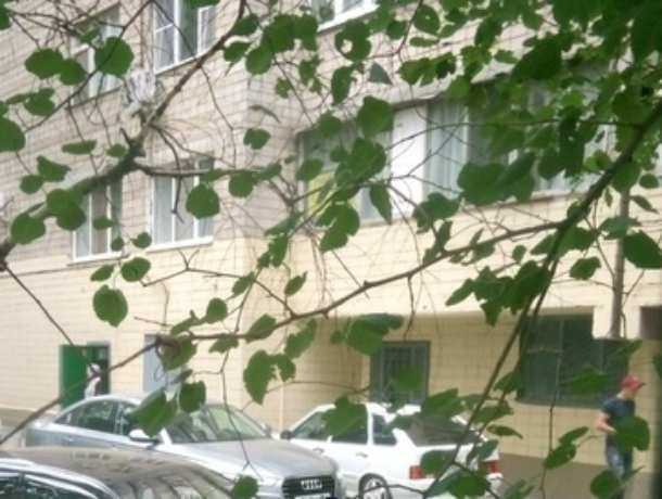 Вредными советами засыпали оскорбленную шумным автомобилистом молодую мать жители Ростова