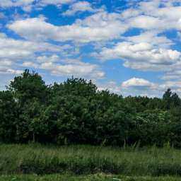 Ростов оказался в числе городов, которые наплевательски относятся к природе