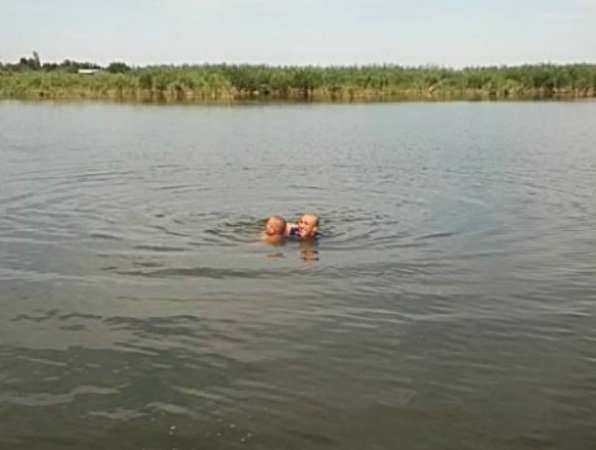 Коварный змей едва не утащил под воду молодого купальщика в Ростовской области
