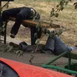 Виртуозные позы «уличных йогов» на «пьяной скамейке» во дворе Ростова рассмешили горожан