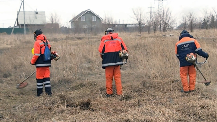В Красноярске и большей части края ввели особый противопожарный режим