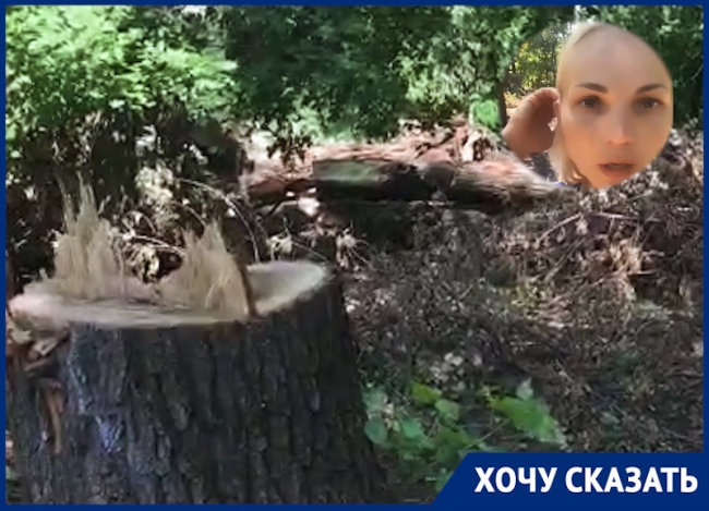 Жители Новочеркасска заявили, что под видом благоустройства вырубается парк