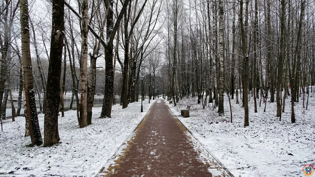 Февраль прощается без снега: прогноз погоды на Дону в последнюю субботу месяца