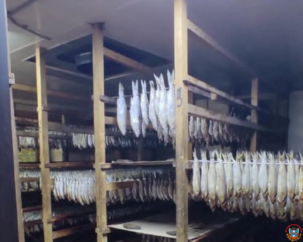 Нелегальный рыбный цех «накрыли» силовики в Ростовской области