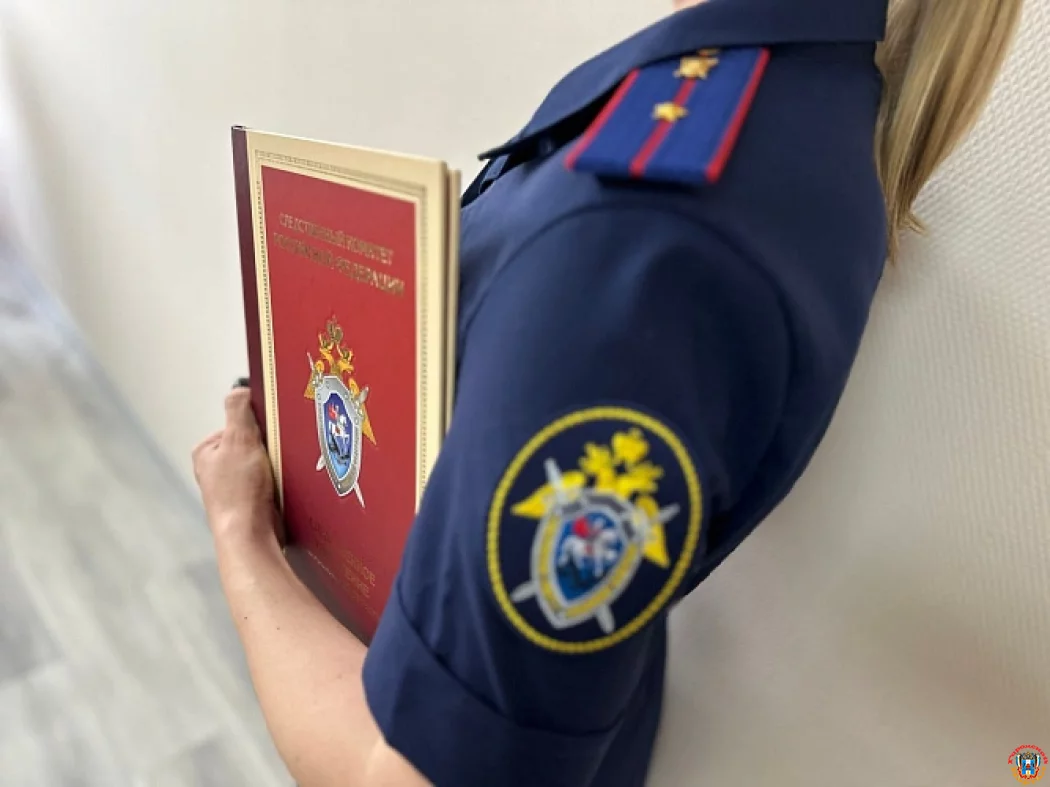 Проверку по делу о травме ребенка в Ростове-на-Дону взял на контроль Бастрыкин