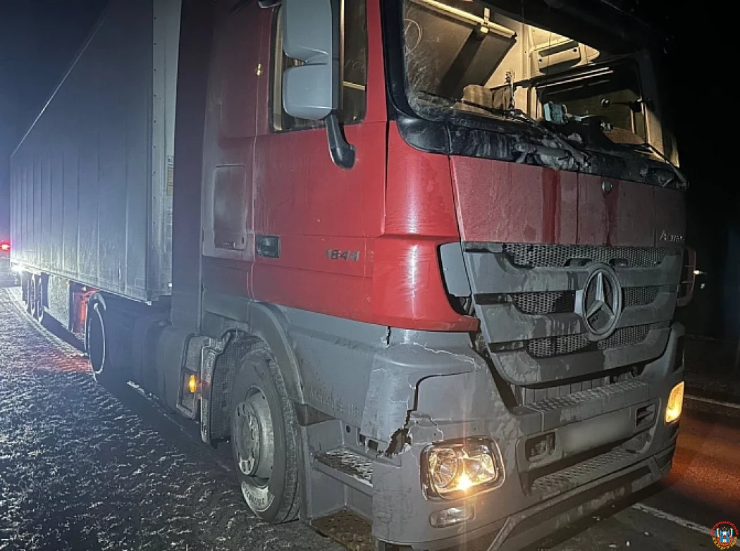 Смертельный наезд под Воронежем: донской дальнобойщик сбил пешехода на ночной трассе