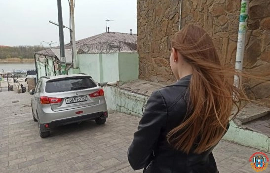 В Ростове в ближайшие сутки ветер усилится до 22 метров в секунду