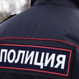 У сотрудницы Минздрава украли шубу за 200 тысяч рублей в московском кафе