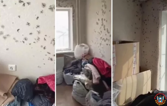 В доме по всюду плесень: Люди с Нариманова рассказали про временное жилье