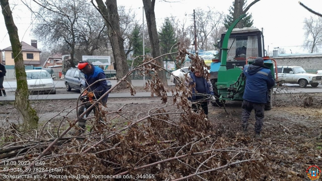 В Ростове очистили рощу на улице Золотистой от мусора