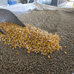 Россельхознадзор не пустил из Ростовской области на Украину крупную партию кормов для животных