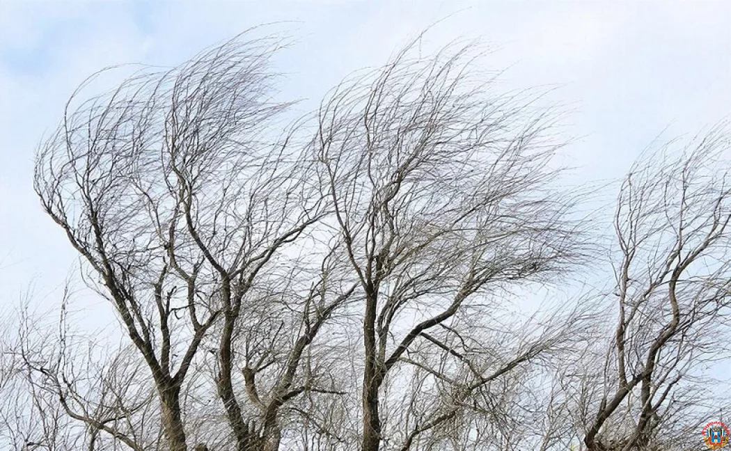 17 декабря жителей Ростовской области ожидает сильный ветер 17 декабря жителей Ростовской области ожидает сильный ветер