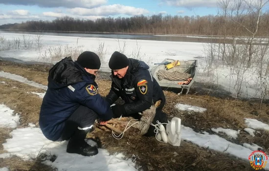 Замерзающего детёныша косули спасли в Ростовской области