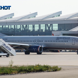 В Платове из-за пистолета в салоне экстренно приземлился рейс «Москва-Бургас»