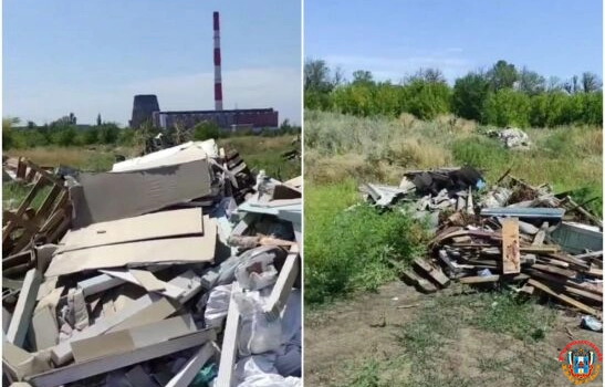 В Ростове поле за Левенцовкой превратилось в мусорную свалку
