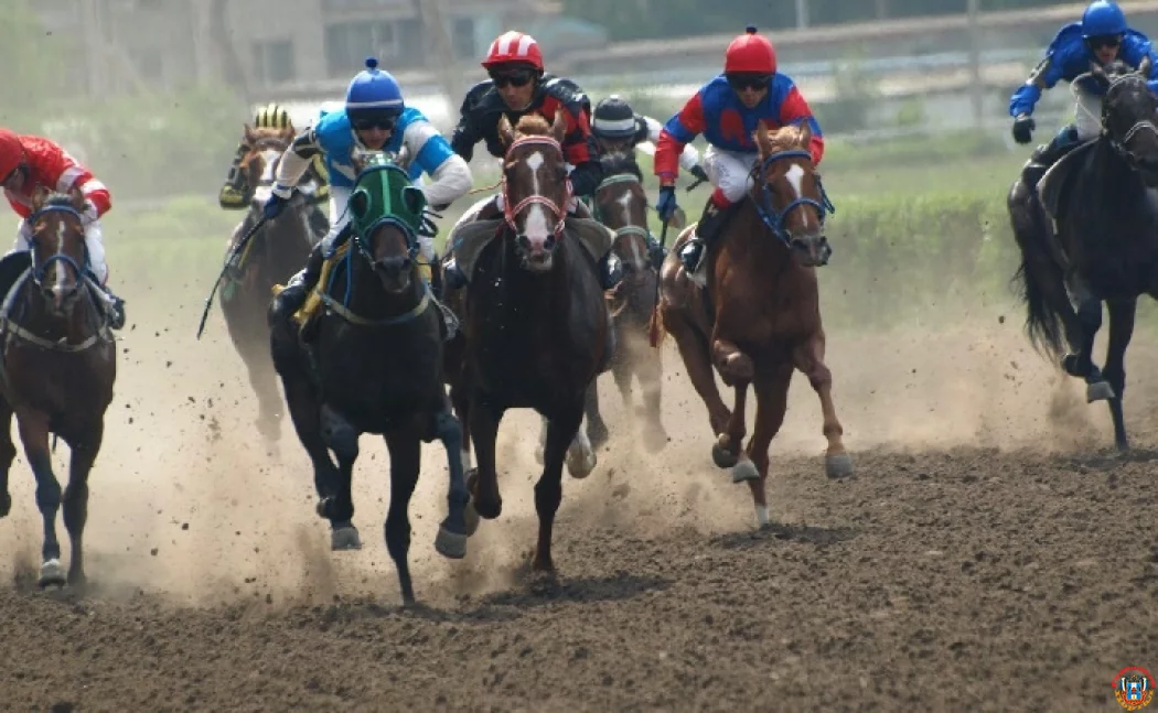 Выдвинул условия собственник Ростовского ипподрома владельцам лошадей