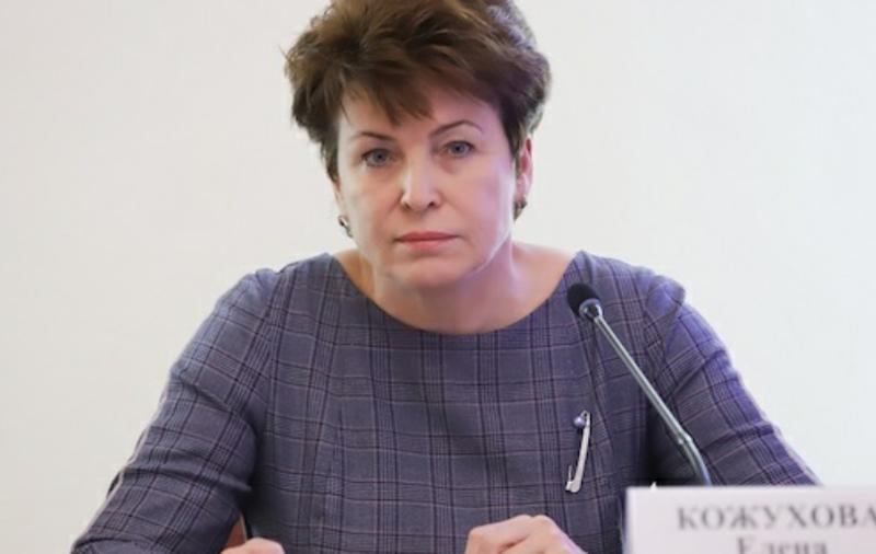Заместитель главы администрации Ростова Кожухова потребовала оградить врачей от СМИ