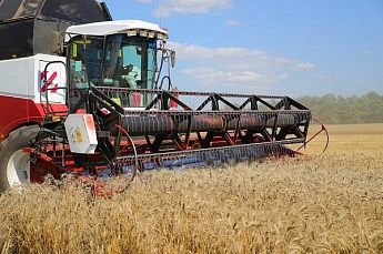 В Ростовской области урожай зерна превысил прошлогодний на 7%