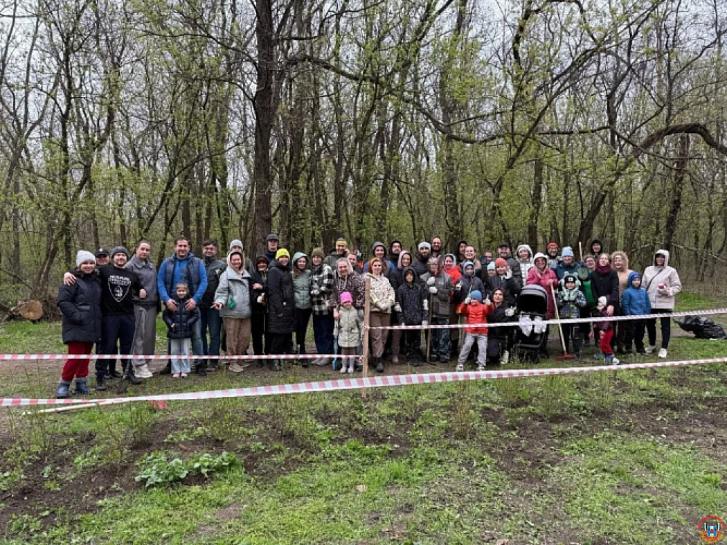 К уничтожению посаженных жителями деревьев в роще СКА, привела смена чиновников в Ростове