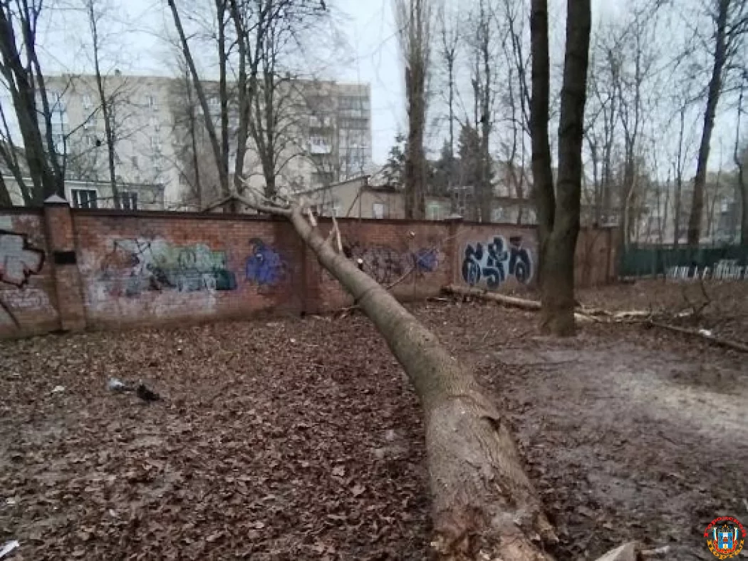 На неубранные ветки около детского сада пожаловались Ростовчане