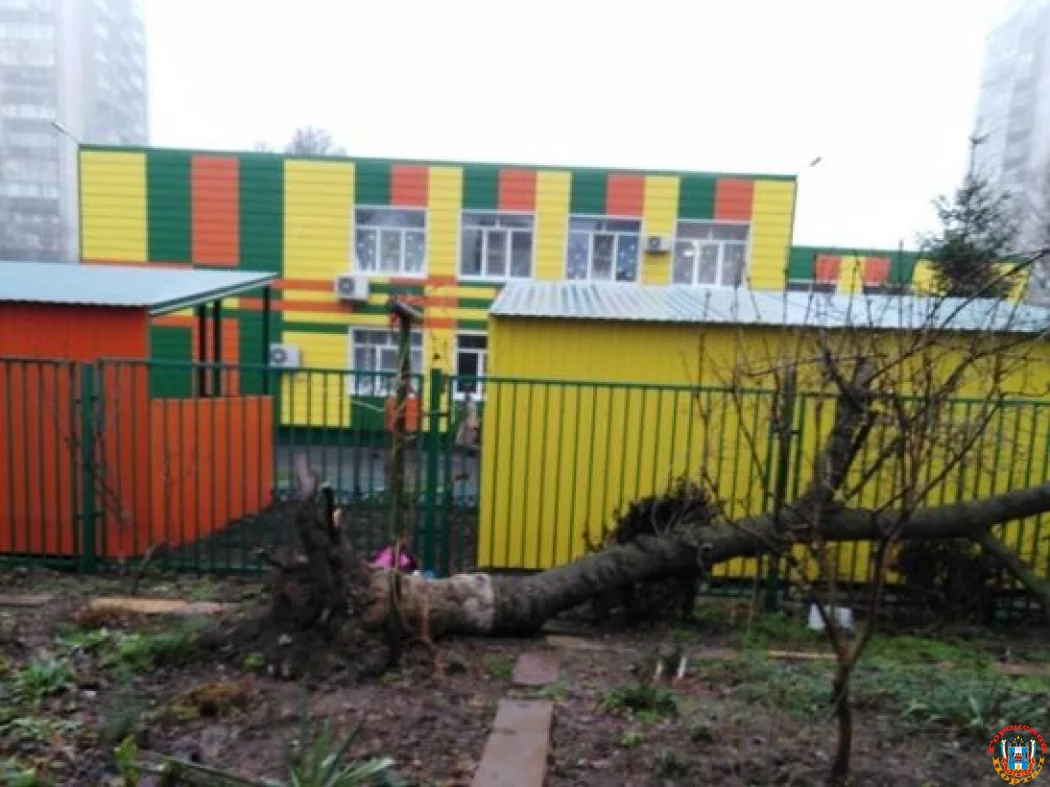 В Ростове дерево упало на забор детсада № 118