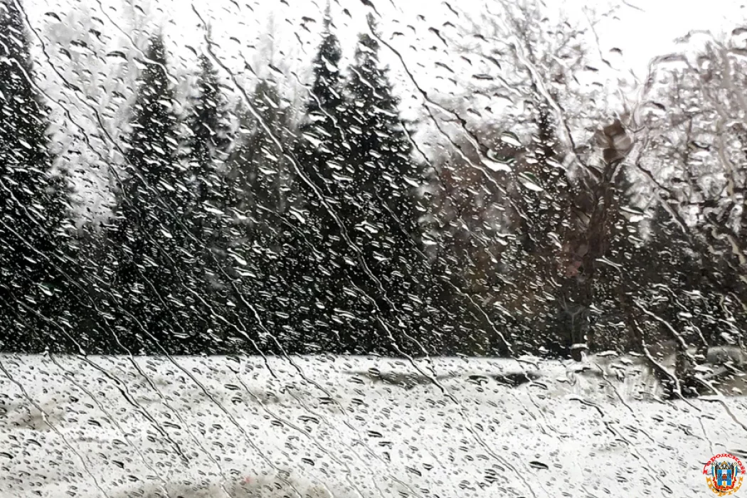 В Ростове на Рождество выпадет мокрый снег