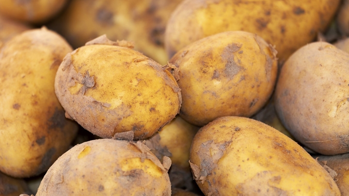 Россия увеличит импорт картофеля, чтобы сбить цены