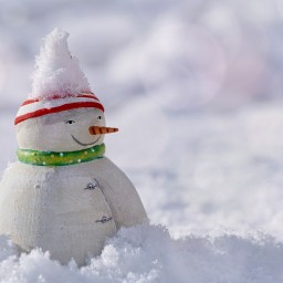 Во вторник в Ростовской области синоптики прогнозируют морозы до -22 градусов