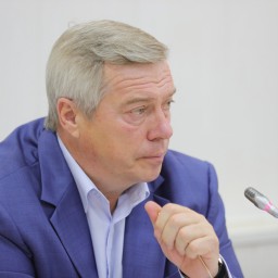 Василий Голубев поставил задачу возобновить плановую медпомощь в Ростовской области