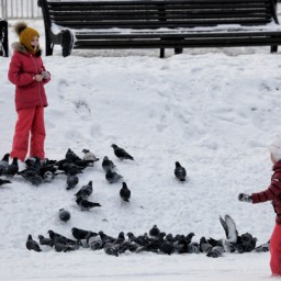 В Госдуме предложили продлить зимние школьные каникулы