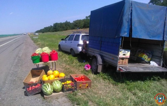 Голубев раскритиковал придорожную торговлю в Ростовской области