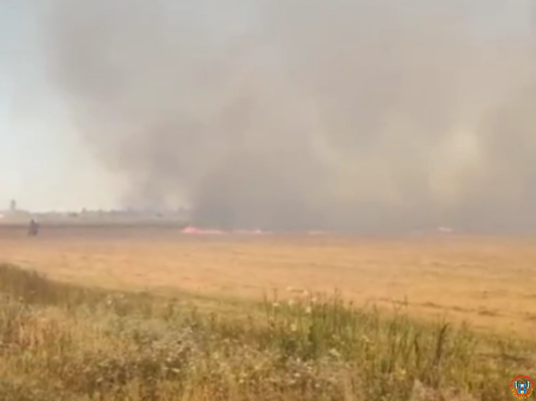 Под Азовом 59 спасателей тушат крупный ландшафтный пожар