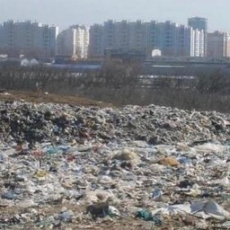 Сроки завершения рекультивации свалки на Левенцовке снова перенесли