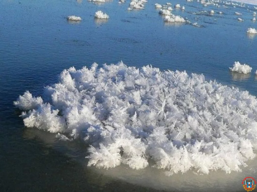 «Морозные цветы» появились на водоемах Ростовской области