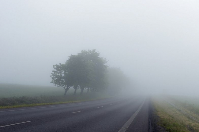 На Дону сохраняется туман: водителей призывают быть внимательными