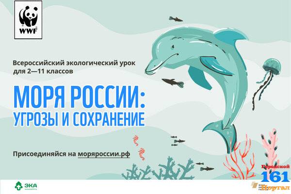 Учителей Ростовской области приглашают провести интерактивный экоурок «Моря России»