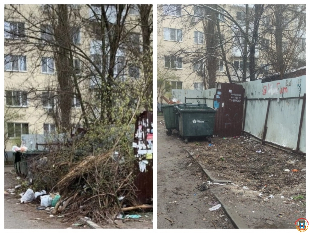 После публикации «Блокнот Ростов» в Александровке убрали свалку возле контейнерной площадки