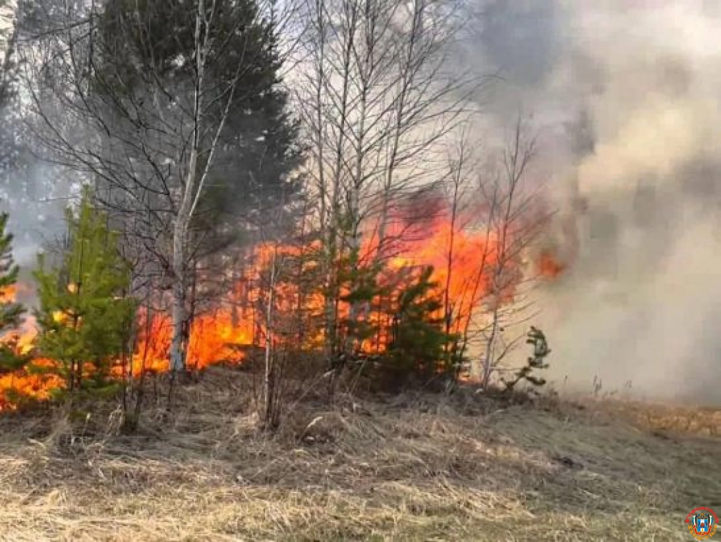 На Дону 13 муниципалитетов остаются в зоне риска возникновения пожаров