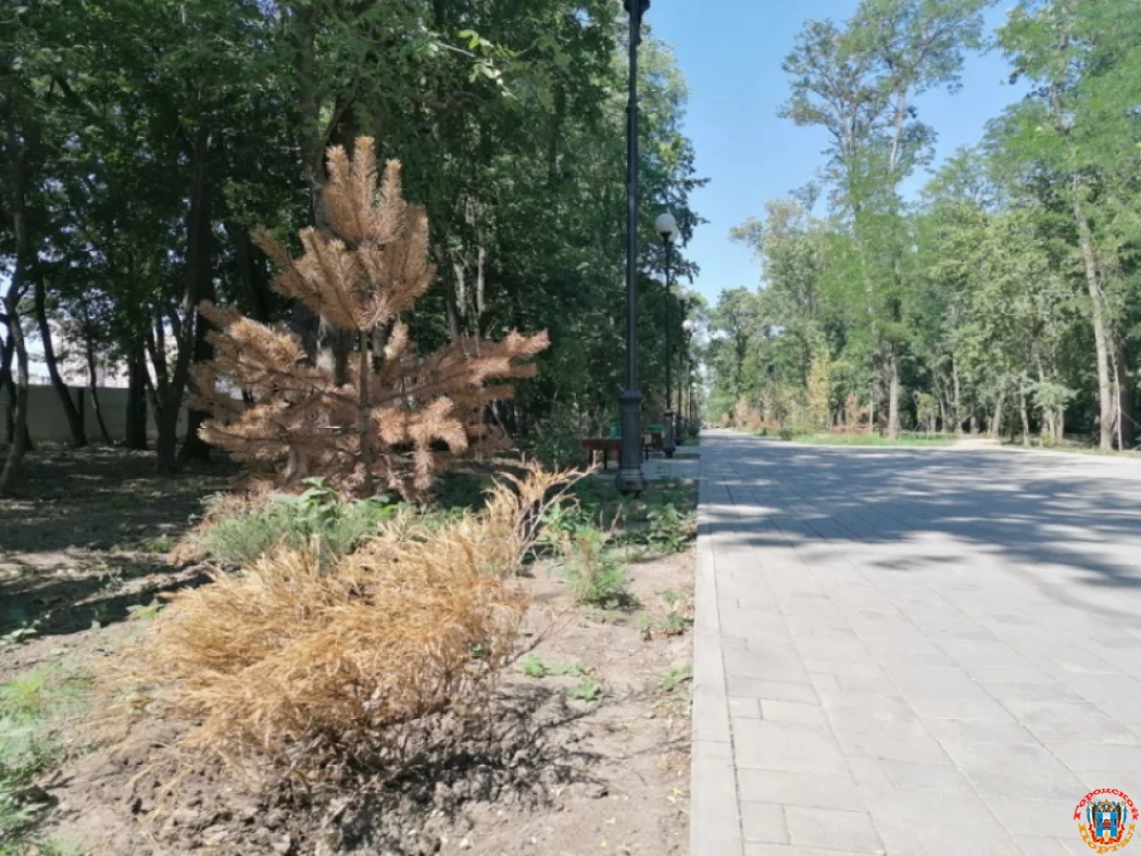 Версию парка Вересаево одобрила госэкспертиза