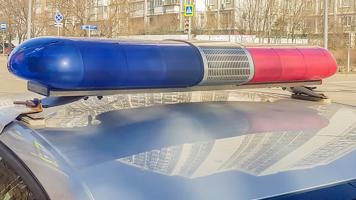 В Москве таксист сбил ребенка, достававшего котенка из-под машины