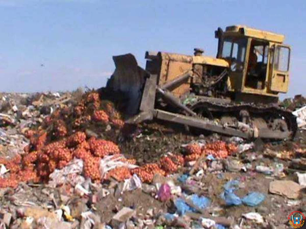 В Таганроге уничтожили 20 тонн свежего репчатого лука из Польши