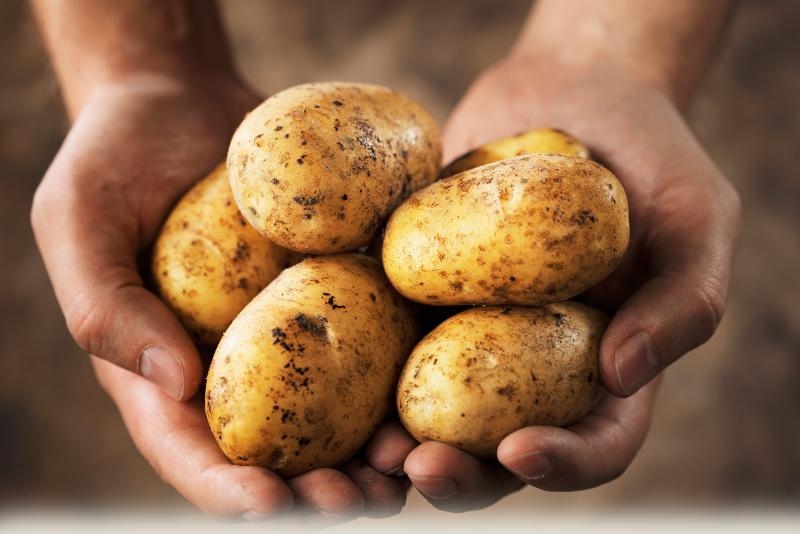 Глава минсельхоза Ростовской области назвал причину резкого роста цен на картофель