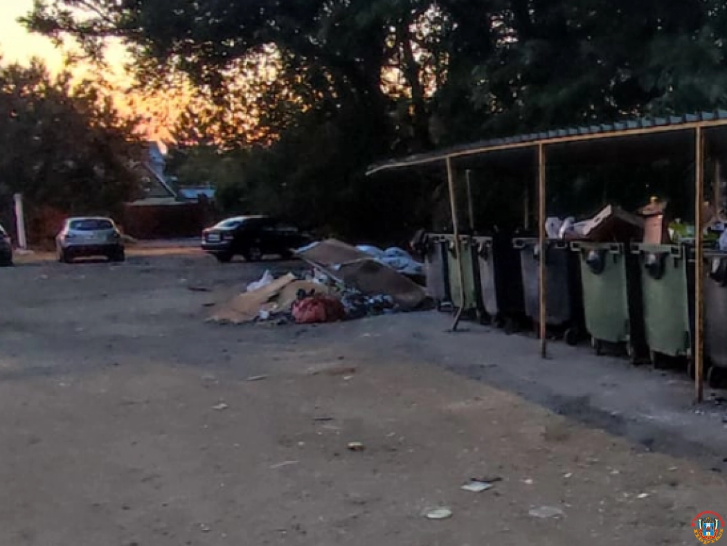 На входе в парк Чуковского в Ростове образовалась зловонная мусорная свалка