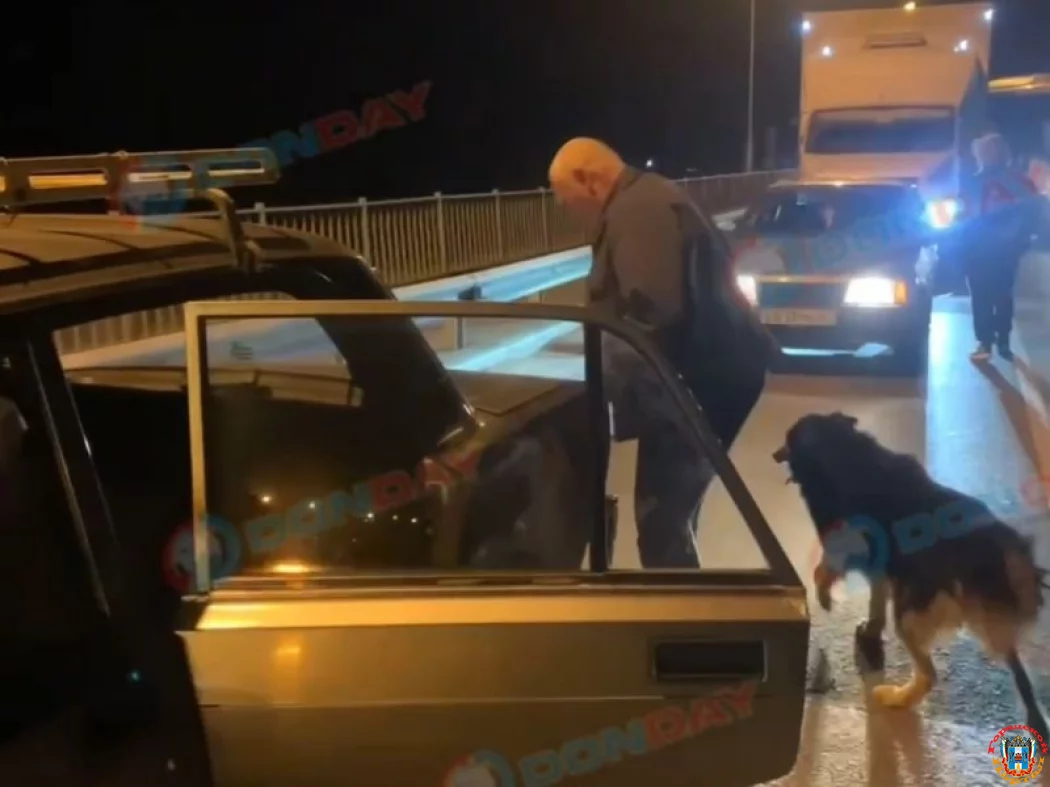 Привязал к бамперу и тащили по дороге собаку